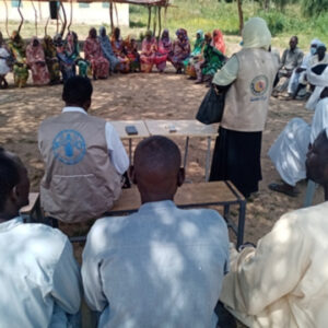 Peacebuilding (Capacity Building and Creative Arts)